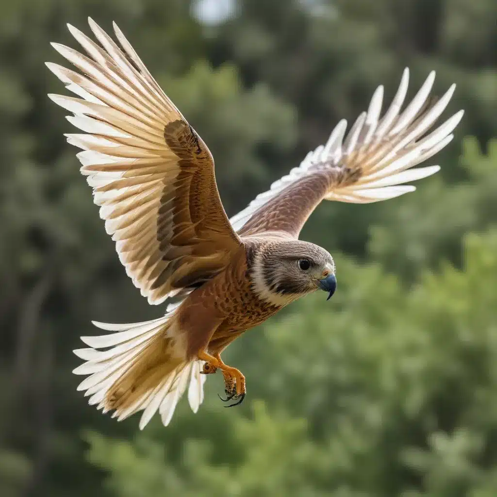 Feathered Flyers: Encouraging Natural Flight and Wing Exercise