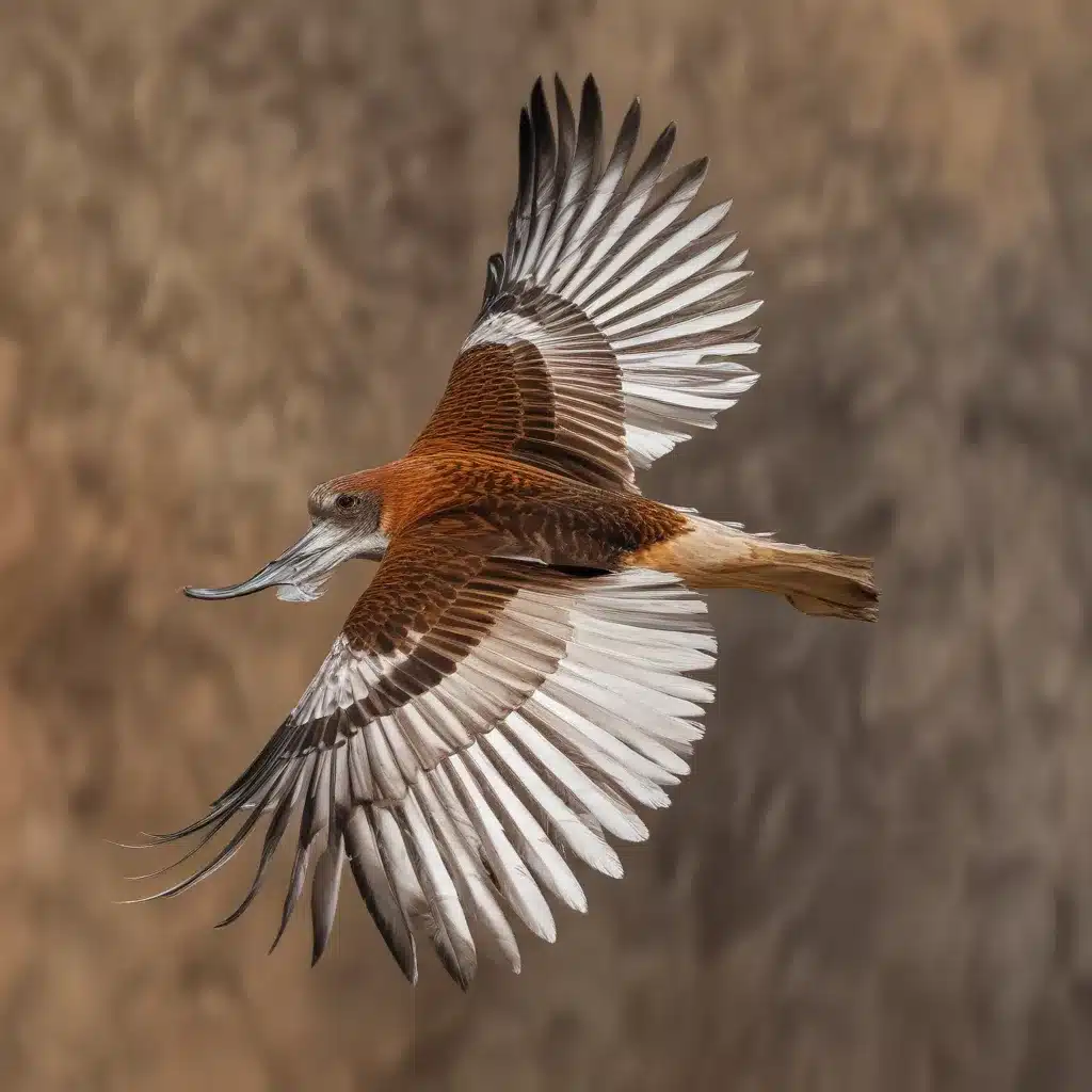 Feathered Flyers: Mastering the Art of Bird Photography on the Road