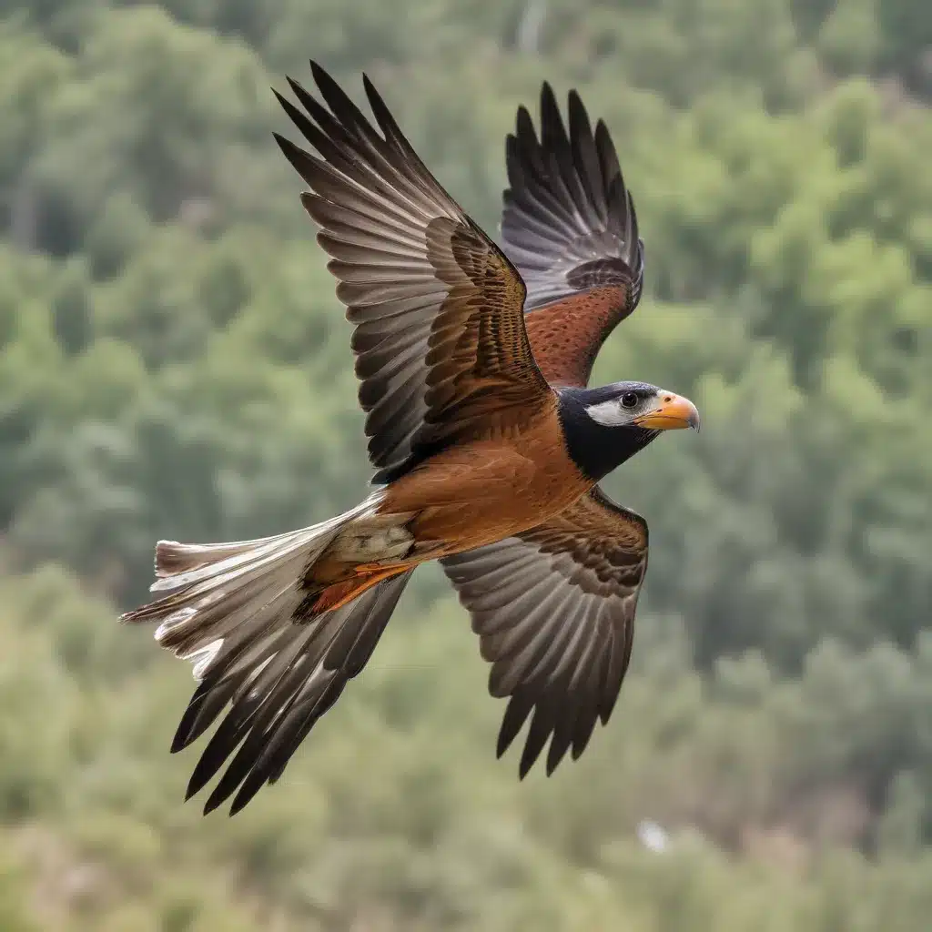 Feathered Flyers: Navigating the Legalities of Traveling with Birds