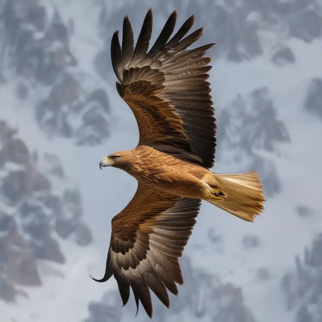 Golden eagles regularly use gravity waves to soar in the Alps: new evidence