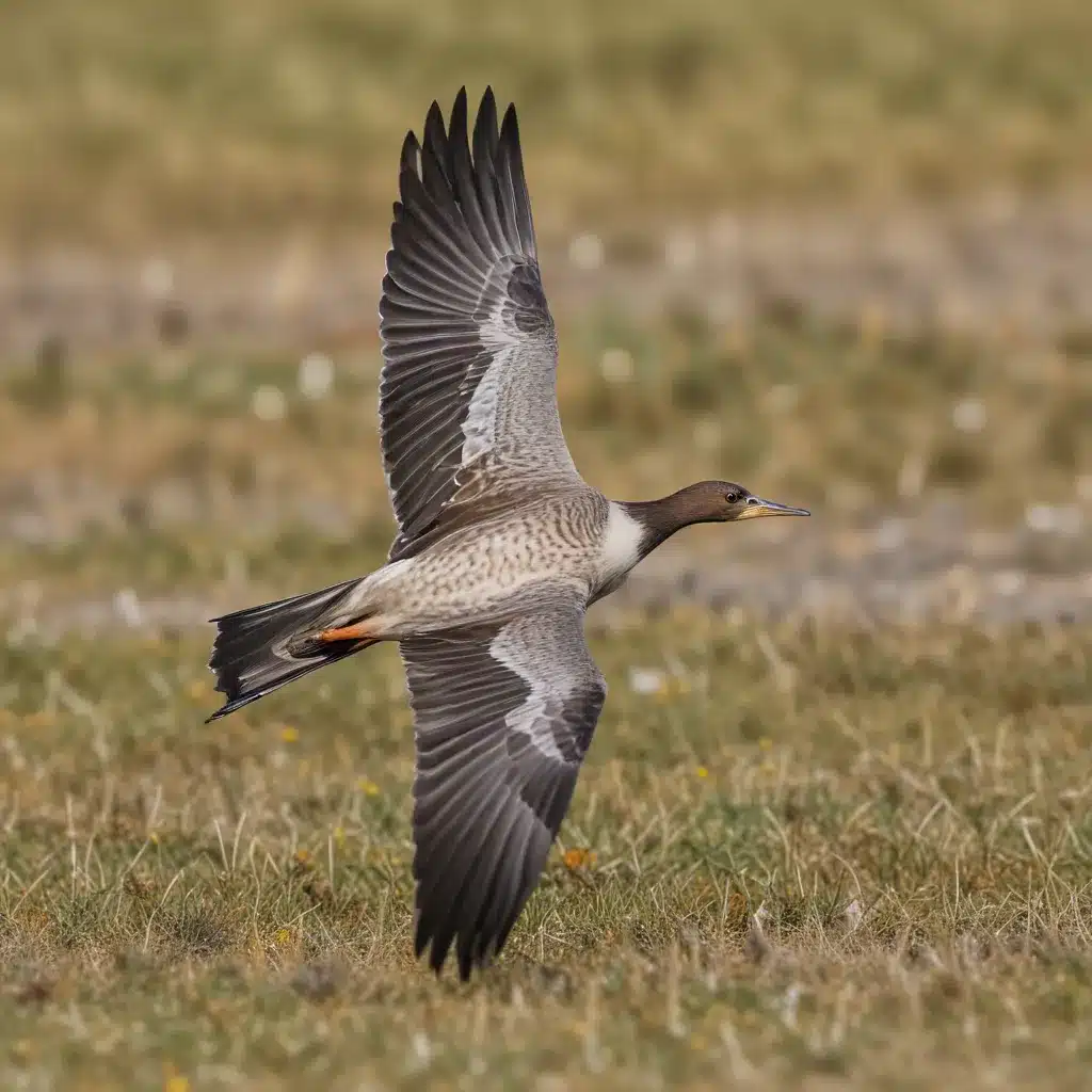 Migratory Marvels: Tracking the Incredible Journeys of Migratory Bird Populations